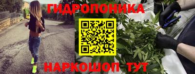 шишки Янаул